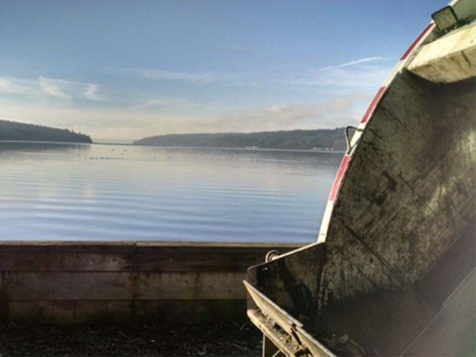 Vashon Disposal.